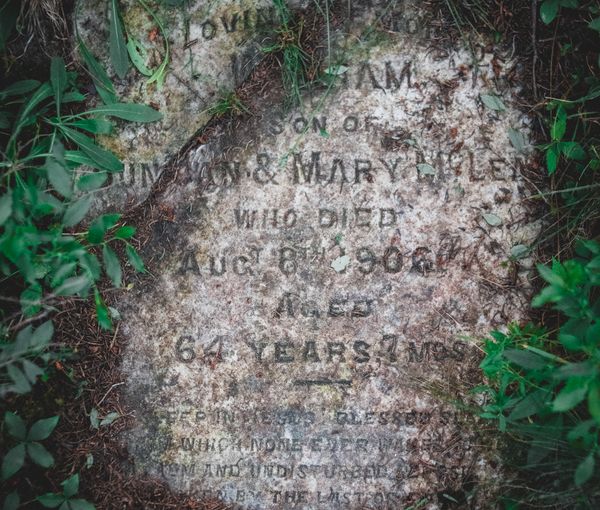 Knight & Pearson Family History